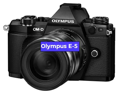 Ремонт фотоаппарата Olympus E-5 в Екатеринбурге
